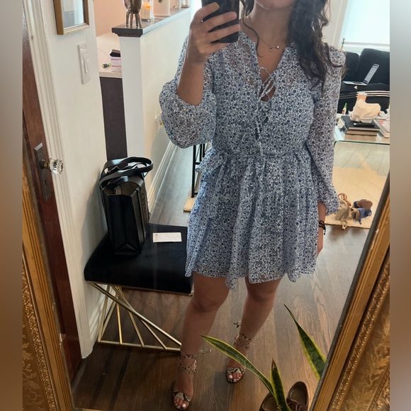 Maje Dresses & Skirts - Rare Maje Burnout Romantic Garden Floral Long Sleeve Dress in Blue and White